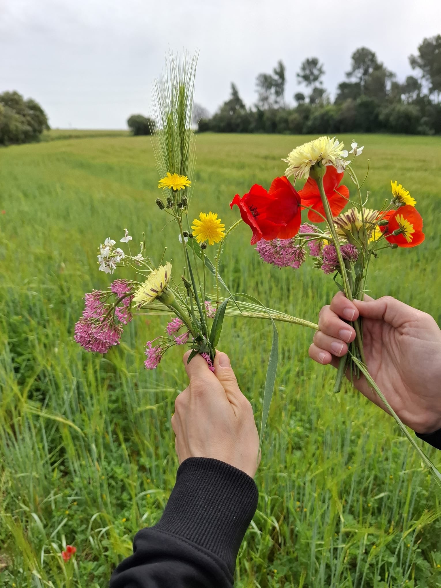 PRIMER EVENTO AORIS. HONRA QUIÉN ERES. NUNCA DEJES DE FLORECER.