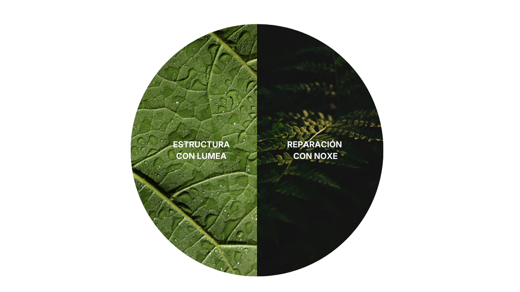 Sistema AORIS – Protocolo Día & Noche (30 días)