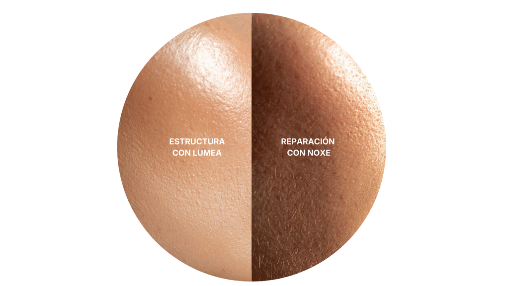 Sistema AORIS – Protocolo Día & Noche (30 días)