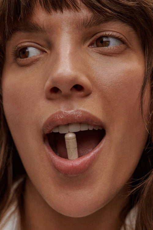 Noxe (Night Regulation)