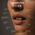 NOXE